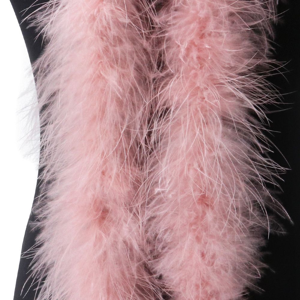 2M Feather Boa Strip Apparel F - Wedding Dress Supply 评论和价格